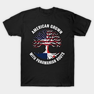 American Grown With Norwegian Roots T-Shirt